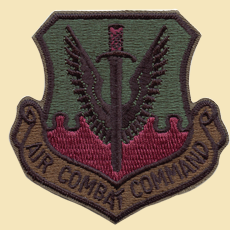 Air Combat Command